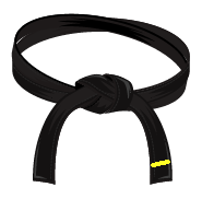 Ceinture noire 1e dan