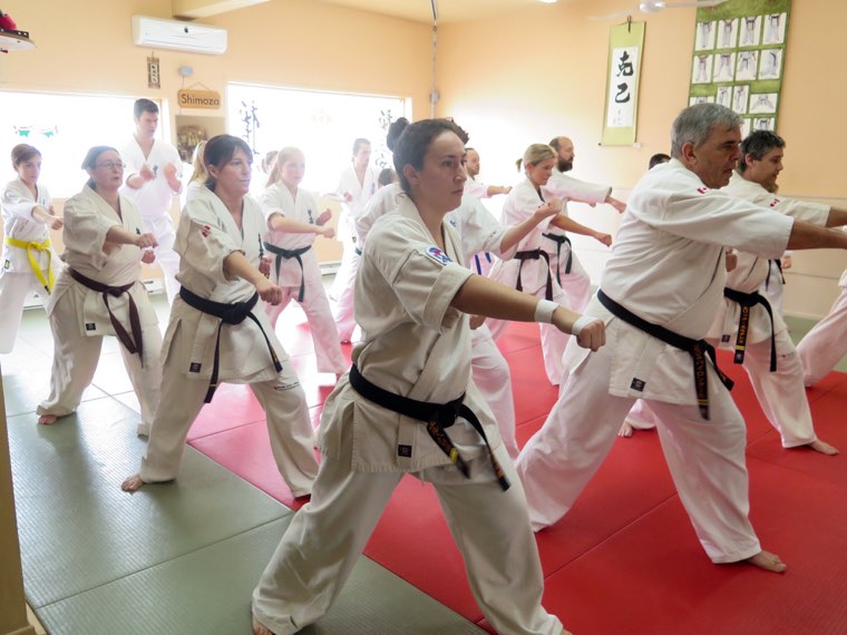 Notre dojo