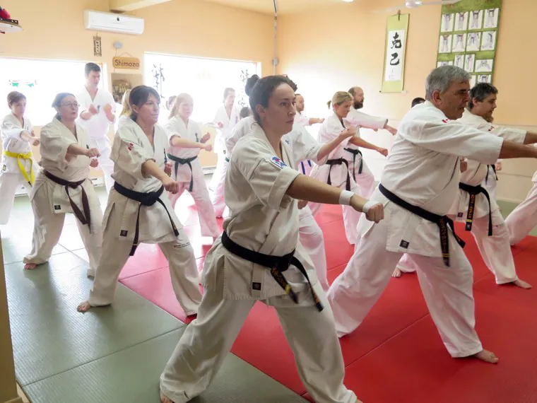Notre dojo